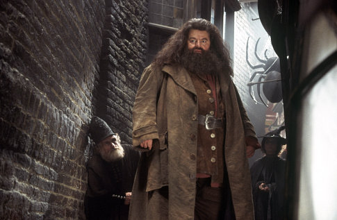 Harry Potter - Rubeus Hagrid 3