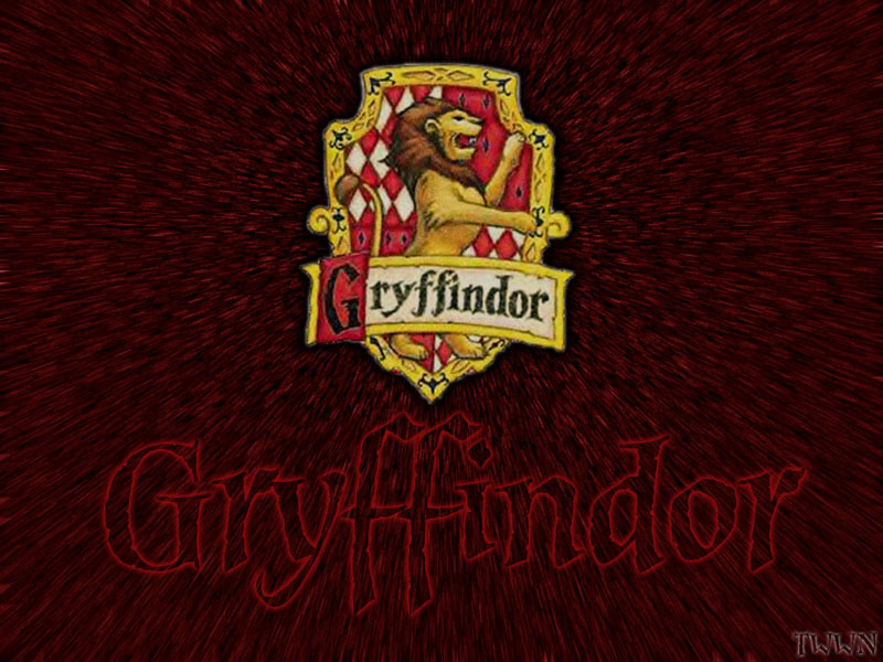 Gryffindor Harry Potter 1